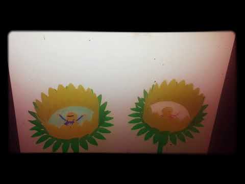 Bee bright first steps trailer