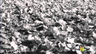 That Inheritance - This Progress (1965)