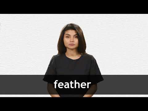 feather  Tradução de feather no Dicionário Infopédia de Inglês - Português