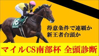 【マイルチャンピオンシップ南部杯2023】マイルCS南部杯2023を徹底全頭診断！得意条件のカフェファラオか？レモンポップがダートマイルで新時代を築くか？？