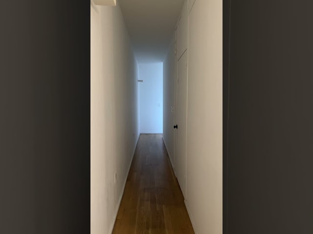 Preview image: Video 1