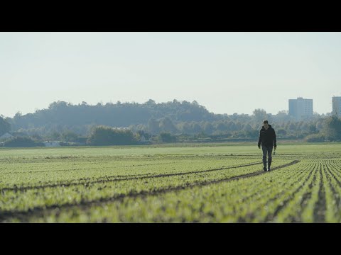 Wir leben Getreide Feld-Reporter | NW | Jan Reinecke: Herbstbehandlungen im Getreide