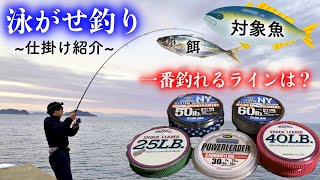【泳がせ釣り】堤防からブリを釣るための仕掛けとは？解説&実釣編