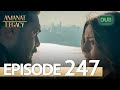 Amanat (Legacy) - Episode 247 | Urdu Dubbed
