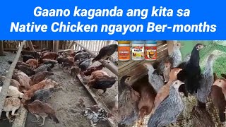 Download lagu Price Update ng Native Chicken ngayon Ber-months mp3 Download lagu Price Update ng Native Chicken ngayon Ber-months mp3