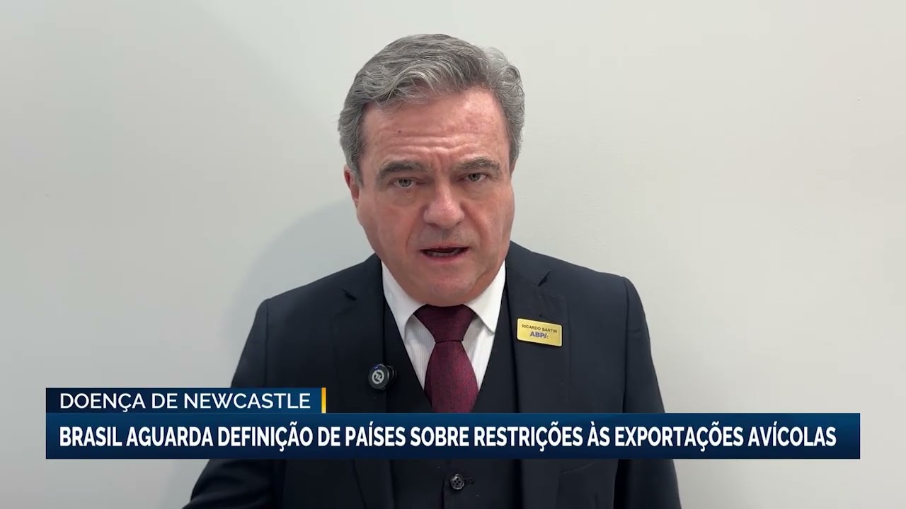 Brasil aguarda definição de países sobre restrições às exportações avícolas