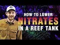 Best Way To Remove Nitrates From Saltwater Aquarium