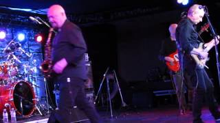 Wild Tales and Native Sons Of A Distant Land - The Rippingtons f. Russ Freeman