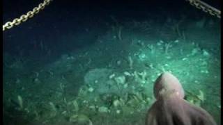 Descubiertas en el fondo del mar