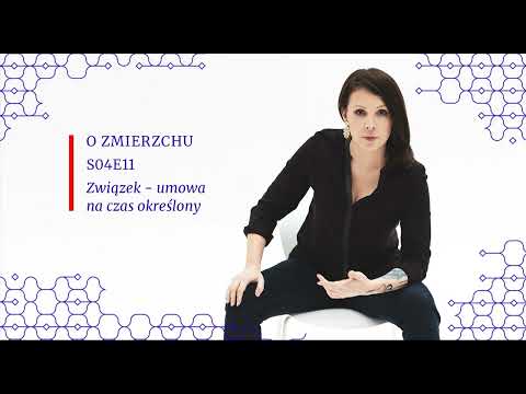 S04E11 Związek, umowa na czas określony - O Zmierzchu