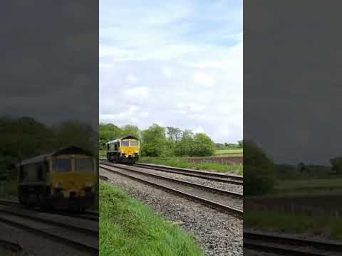 Freightliner 66533 'Hanjin Express/Senator Express' working Peterborough to Crewe 9/5/2023