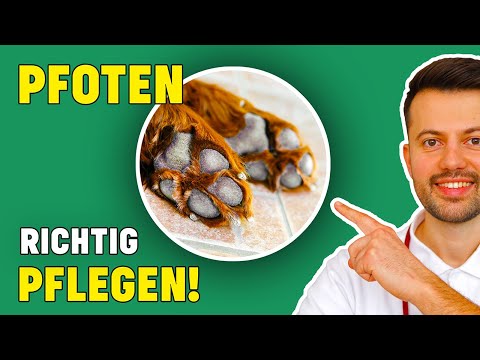 Übung mit Schmerzen im Rücken auf fitball für Schwangere Schmerzen im Nacken und Brustbeins