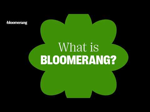What Is Bloomerang? The Giving Platform Built for Nonprofits