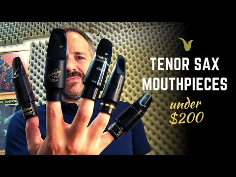 Best Tenor Saxophone Mouthpieces Under $200