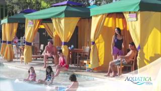 Aquatica San Diego Seaworld Waterpark Tripster