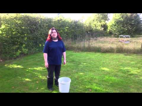 Ice Bucked Challenge