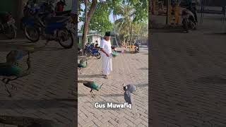 Download lagu Gus Muwafiq..#gusmuwafiqterbaru #storywa #quotes #pengajian #shortsvideo #gusmuwafiqchannel #shortyt mp3