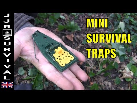 Mini Survival Traps
