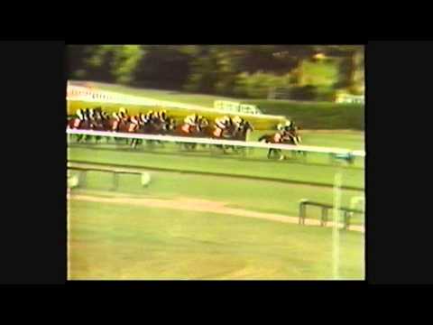 1985 ARC New Zealand Derby _ Bonecrusher ( NZ )