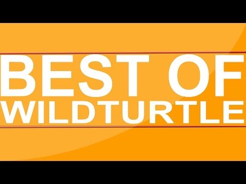 Best of Wildturtle