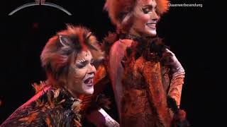 &#39;Macavity&#39; - Cats 2011 German tour