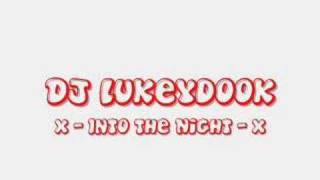 Dj Lukeydook - Into The Night