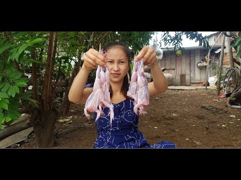 Tasty Frog Recipe - Yummy Frog Cooking