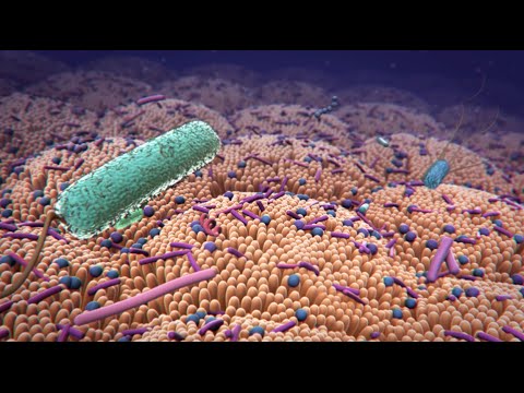 EnteraGam® MOA Animation – General (2015)