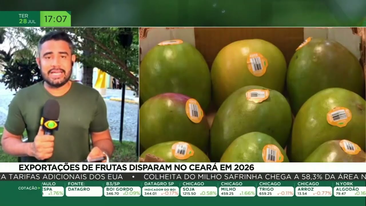 Exportações de frutas disparam no Ceará em 2026