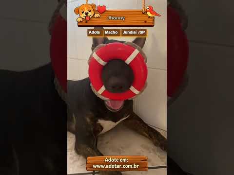 Vídeo de Jhonny