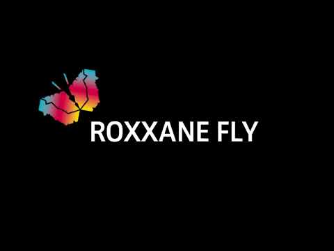 Lichtaktiv: Nimbus Roxxane Fly-Akkuleuchte