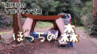 【南伊豆】ぼっちの森【ソロキャンプ】
