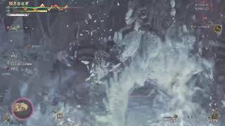 【Monster Hunter Wilds】UFJコラボ、★10ゾシア他色々やる～【サークル】