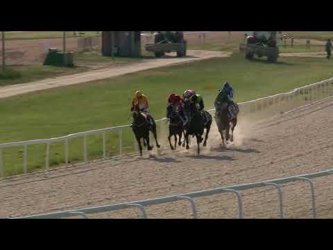 2018.05.06. 7. futam - PAPP SÁNDOR EMLÉKVERSENY HENDIKEP (II.o.) (szintetikus pálya)