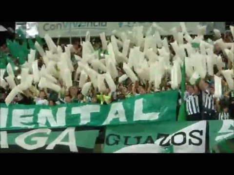 "Atl. Nacional 3 - 1 rosario  Copa Libertadores FIESTA EN LA TRIBUNA NORTE" Barra: Los del Sur • Club: Atlético Nacional