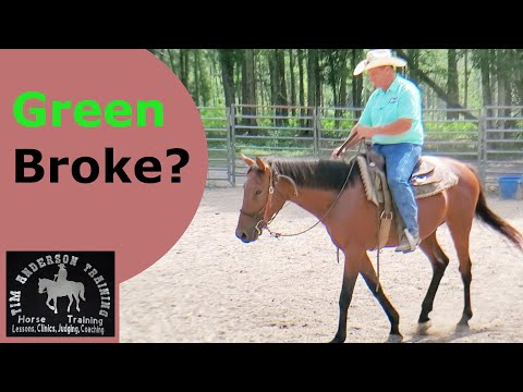 What is a green broke horse and how to get it broke.