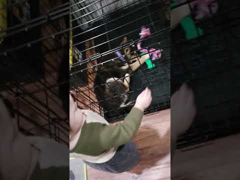 Coop and snickers 1