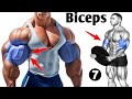Best Biceps Workout For Bigger Arms Complete Biceps Training Guide