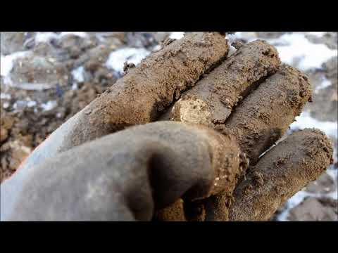Der Bayern Sondler Teil 20 - Sondeln brachte wieder paar super Silberne und Vieles mehr
