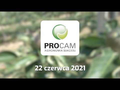 , title : 'Komunikat sadowniczy PROCAM 13 z 22.06.2021'