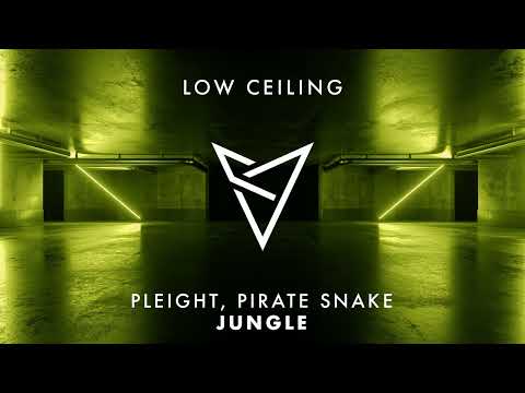 Pleight, Pirate Snake - JUNGLE