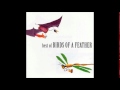 Birds Of A Feather - View From Here 