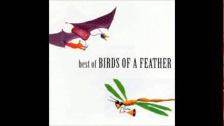 Birds Of A Feather - View From Here