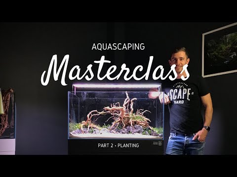 Aquascaping Masterclass | Step by Step Aquascape Tutorial - Part 2