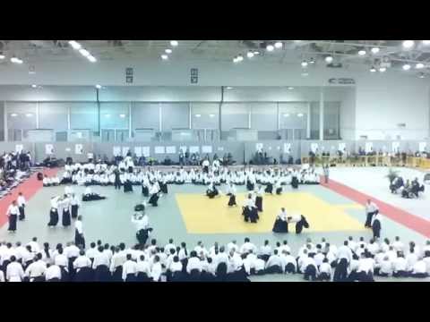 Embukai 2014 aikikai d'Italia 50 anni Maestri 3° Dan