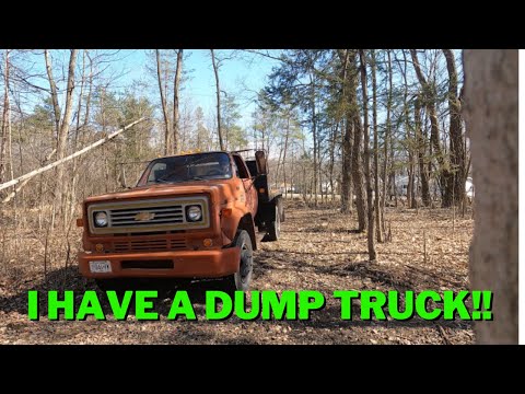 I bought a broken Chevy C60 dump truck for NO reason - Will it run??