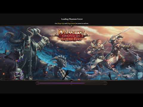 Divinity: Original Sin Enhanced Edition Coop with Arockslife Part 74
