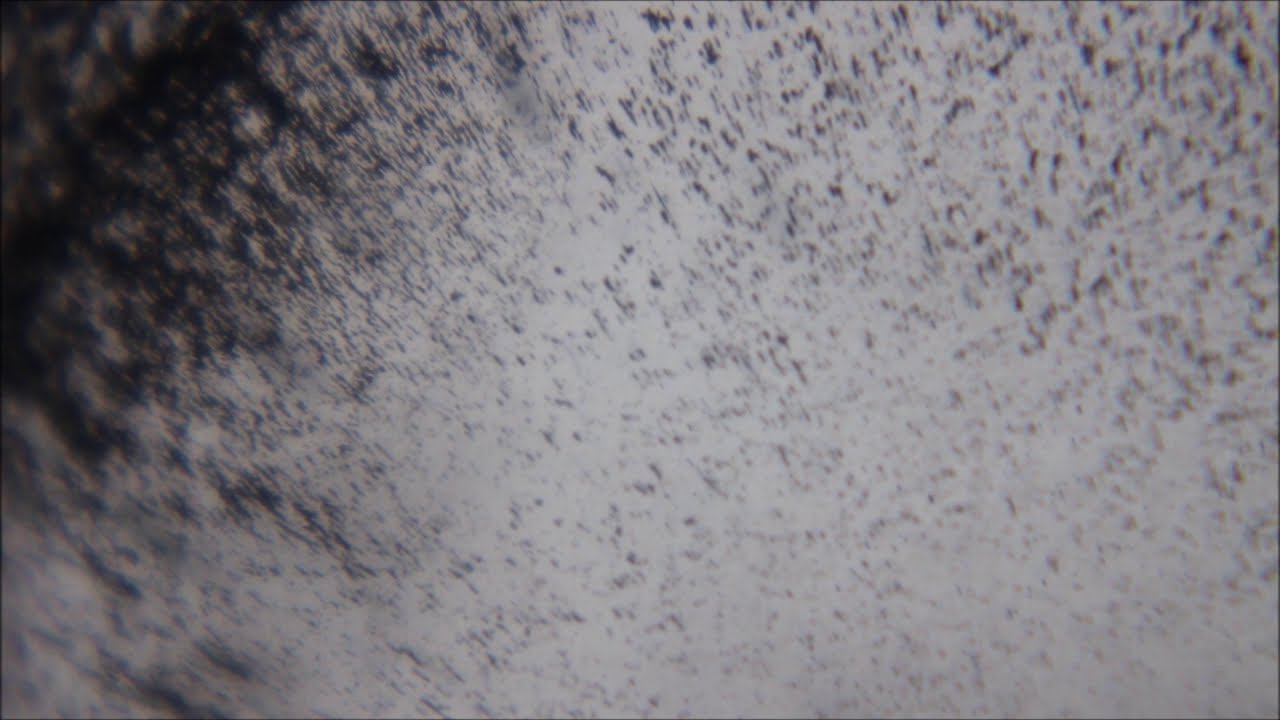 🎧 Sunset 🎧 Poem by Paul Laurence Dunbar (1872 - 1906)