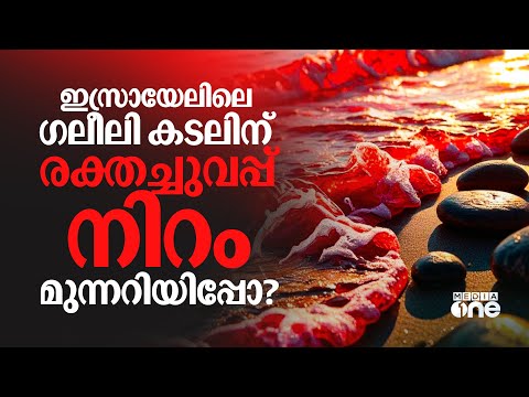 ഇസ്രായേലിലെ ഗലീലി കടൽ ചുവപ്പായി മാറിയതിന് പിന്നിൽ... | Sea of Galilee Turns Red