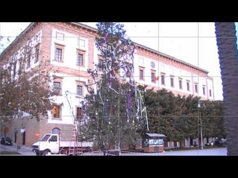 Saccense Ciappe Ciappe